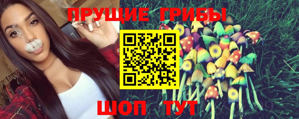 Галлюциногенные грибы прущие грибы  Вход с VPN  Чернушка 