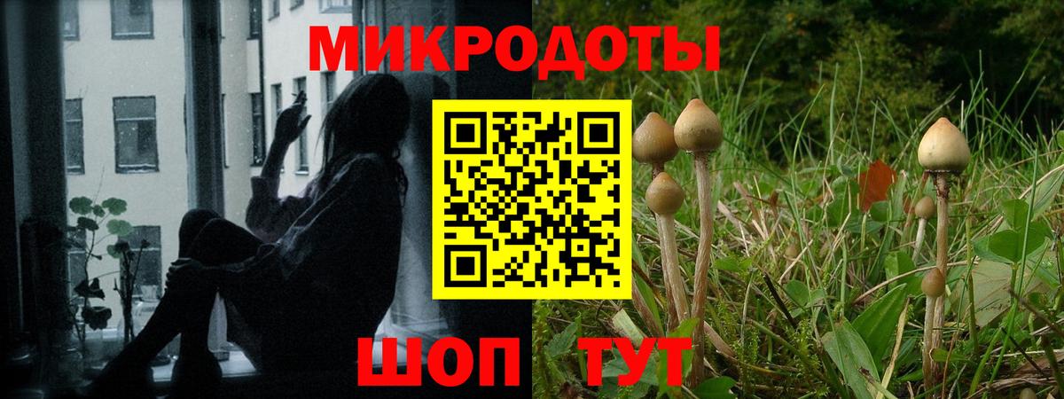 Псилоцибиновые грибы прущие грибы Чернушка